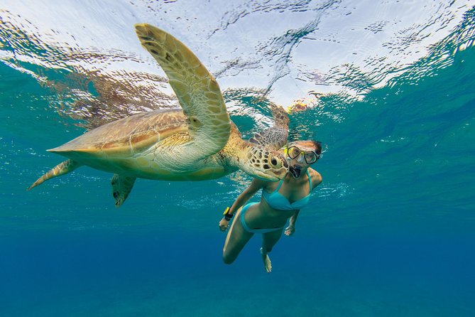 50' Luxury Yacht. Private Full or Half Day Catamaran Snorkel, & Beach Experience - Drinks, lunch, and the rhythm of a full day