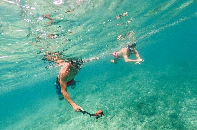 Admission Ticket to Coral World & Coki Point Beach with Snorkeling - What to pack and what costs extra