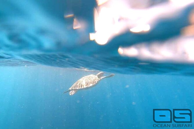 Afternoon Snorkel, Pizza & Sunset Tour departing from St. Thomas & St. John - Why this half-day cruise works so well