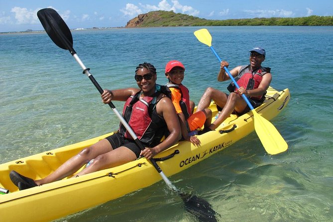 Best of Mangrove Lagoon Kayak, Hike and Snorkel Adventure with Picnic Lunch - What makes this St. Thomas eco-tour worth considering