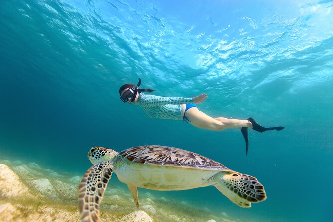 Best of Mangrove Lagoon Kayak, Hike and Snorkel Adventure with Picnic Lunch - Starting at Virgin Islands Ecotours