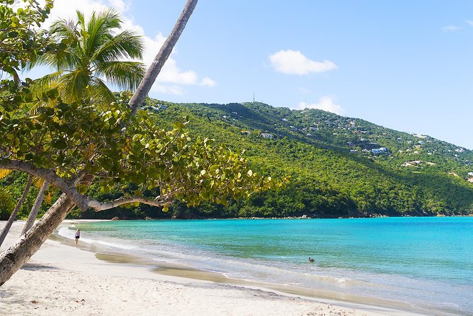 Budget Magens Bay Beach - Key points to know before booking
