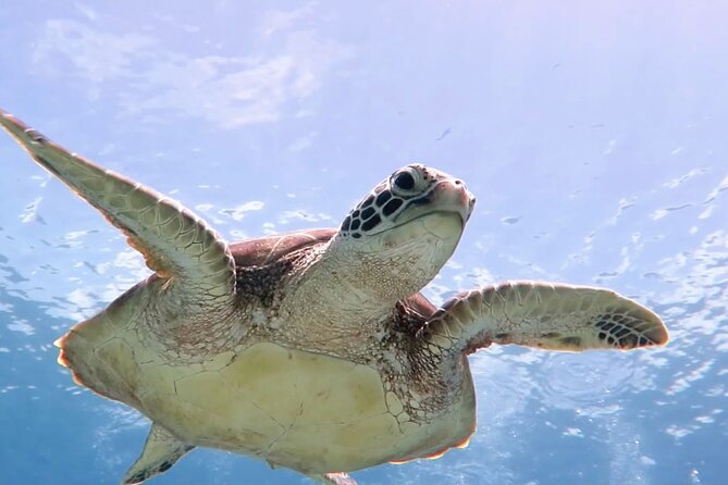 Cas Cay - Kayak Hike and Snorkel Adventure - Key Things to Know Before You Paddle