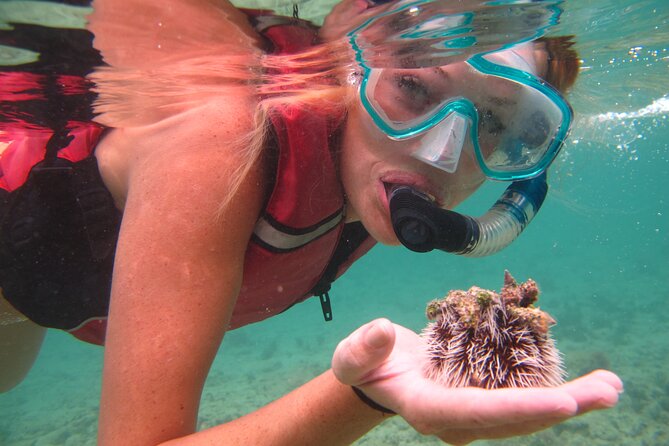 Cas Cay - Kayak Hike and Snorkel Adventure - Families, Cruise Stops, and Fitness