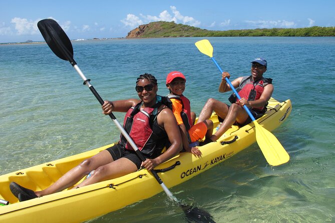 Cas Cay - Kayak Hike and Snorkel Adventure - Paddling Through the Red Mangroves