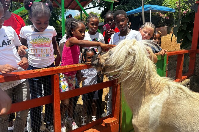 Connors Farms Petting Zoo - From Fortuna Road to the Farmland