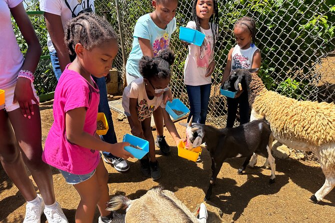 Connors Farms Petting Zoo - Is $25 a Fair Price?
