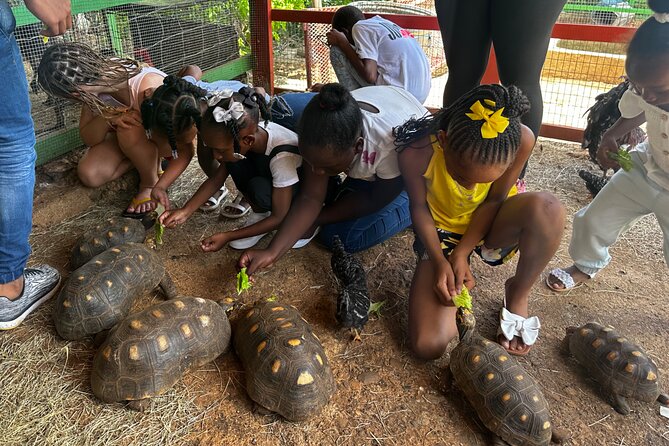 Connors Farms Petting Zoo - Why the Guide Makes a Difference