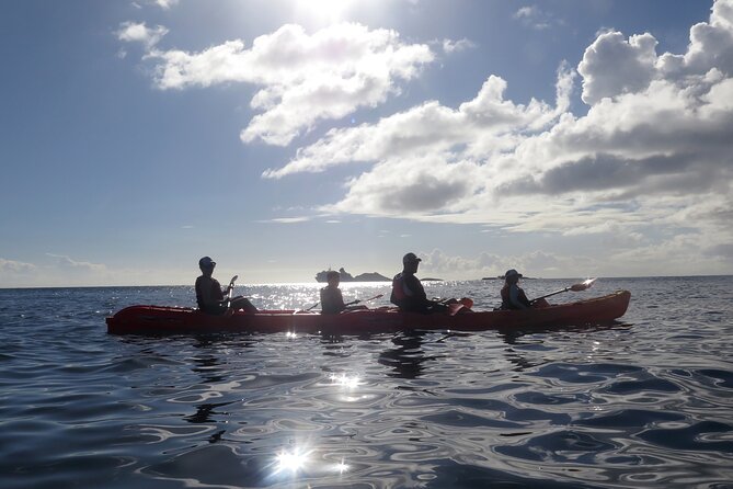 Coral Reef and Turtle Discovery Tour - Learning the kayak before you reach the reef