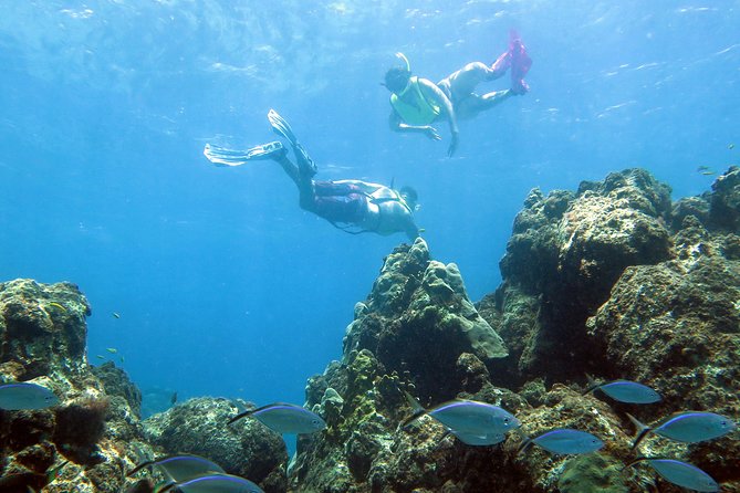 Coral Reef and Turtle Kayak Excursion - Your first lesson: paddling a tandem kayak