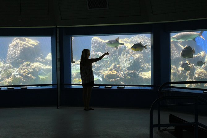 Coral World Ocean Park General Admission Ticket - Starting at Coki Point Beach