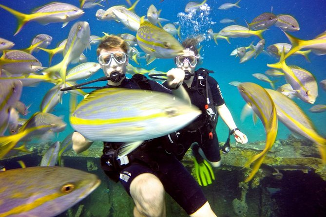 Discover Scuba Diving with No Certification in St Thomas - Meeting at Saga Haven Marina