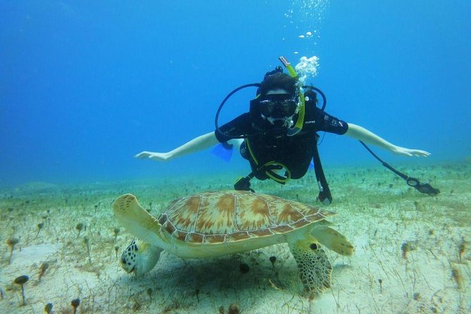 Discover Scuba Diving with No Certification in St Thomas - The medical form is not a minor detail