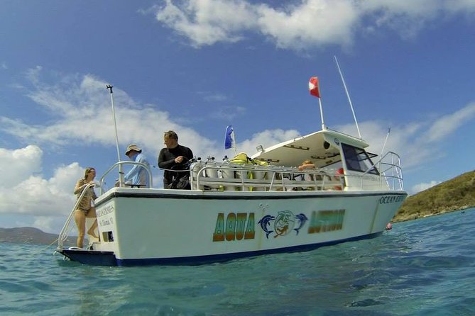 Discover Scuba Diving - Shallow Water Practice Builds Confidence