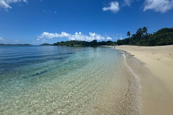 Explore St. John, Beaches and National Park Private Tour - Entering Virgin Islands National Park