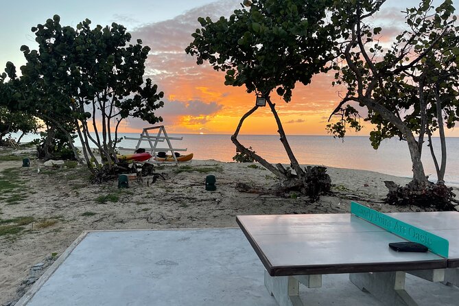 Frederiksted Moke Tour - What makes the small group valuable