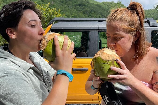 Full Day Cultural Jeep Beach Tour, St. Thomas & Water Island - The tour at a glance