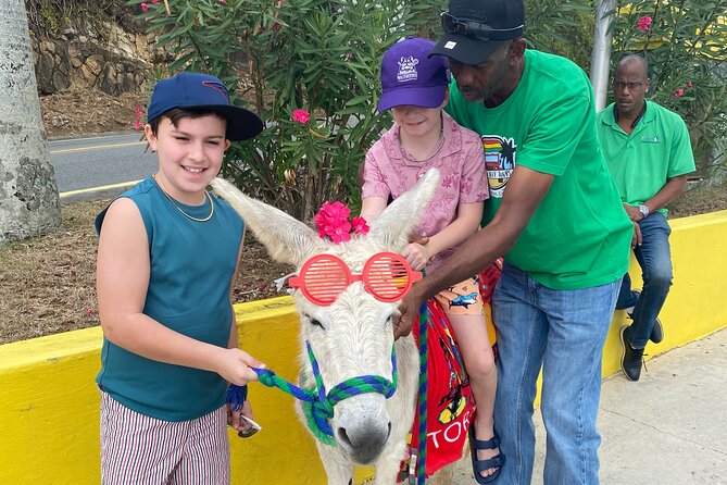 Full Day Cultural Jeep Beach Tour, St. Thomas & Water Island - Is $630 a fair price for four people?