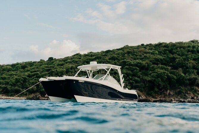 Full-Day Private Boat Charter from St. John or St. Thomas - Why a private boat makes sense here