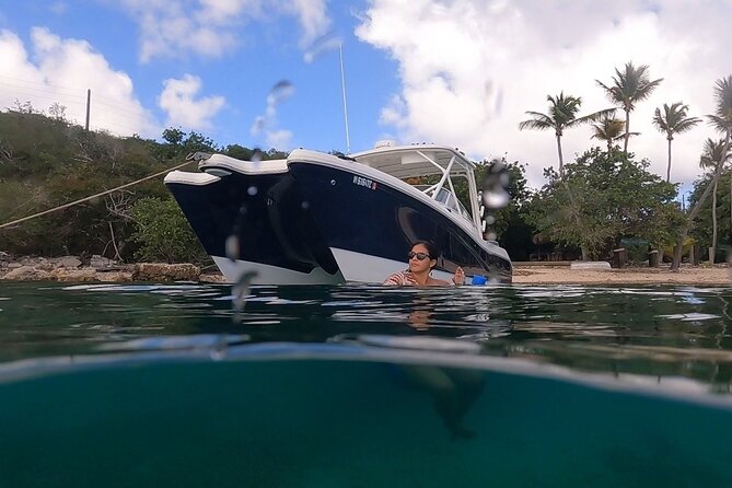 Full-Day Private Boat Charter from St. John or St. Thomas - Lime Out: lunch on the water