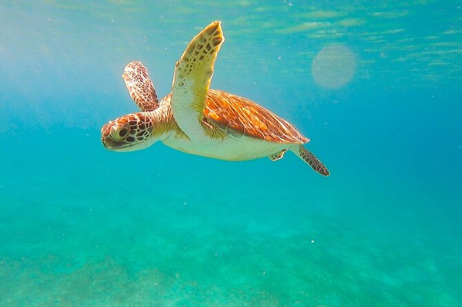 Full-Day Sailing Tour in Virgin Islands National Park - Caneel Bay, a beach reached by water