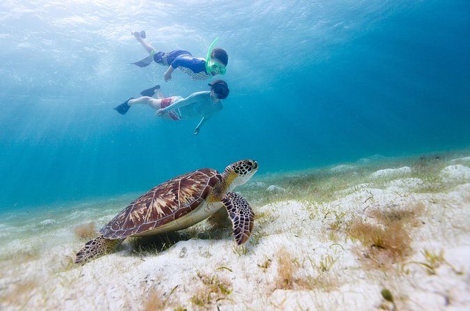 Full or Half Day Private Power Catamaran- USVI Beach and Snorkel - The captain can make or break the day
