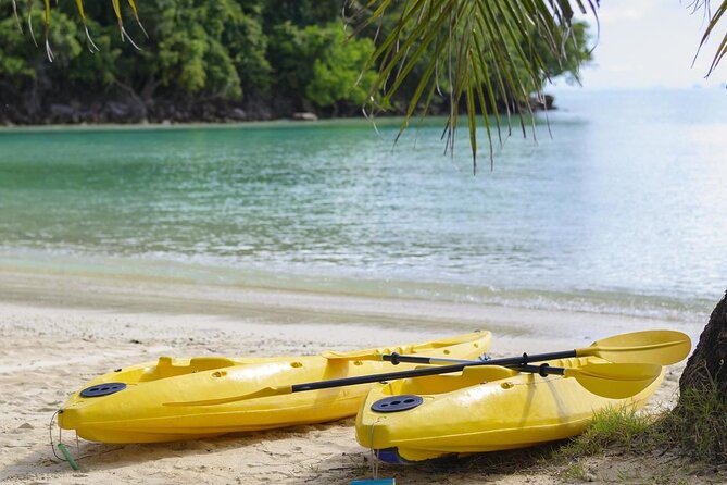 Guided Kayak Tour from Elysian - Key points to know before you book