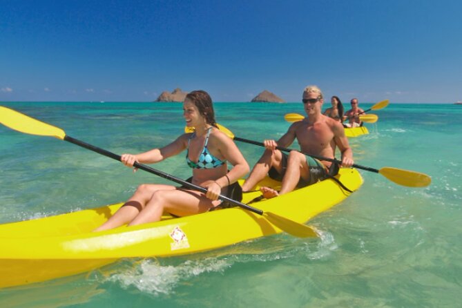 Guided Kayak Tour from Elysian - Meeting your guide and getting started