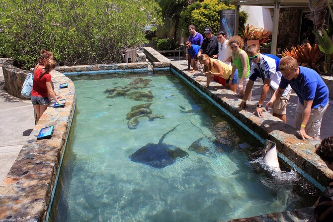 Guided Tour of Coral World Ocean Park & Happy Hour - The guided walk: turtles, stingrays, birds, and mangroves