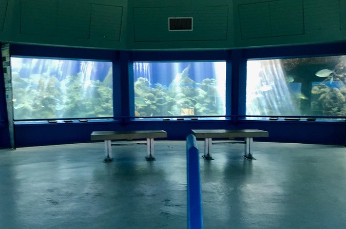 Guided Tour of Coral World Ocean Park & Happy Hour - Meeting at Coki Point and planning the day