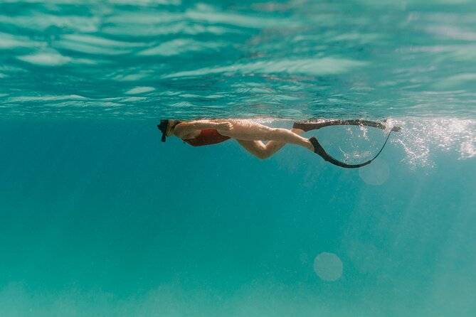 Half Day Boat Charter around the Islands of St Thomas and St John - What the $990 price really means