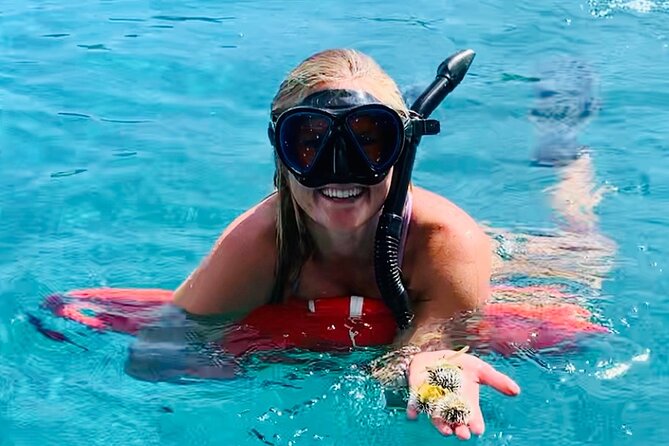 Half Day Luxury Catamaran Turtle Snorkel And Beach - Key points to know before booking