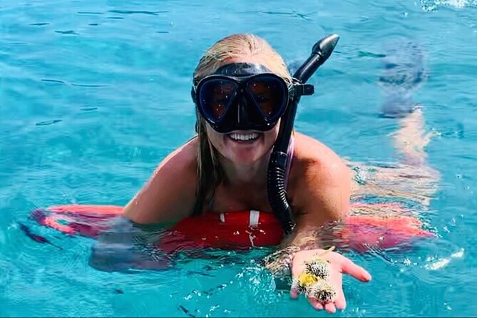 Half Day Luxury Catamaran Turtle Snorkel And Beach - Starting at Yacht Haven Grande in Charlotte Amalie