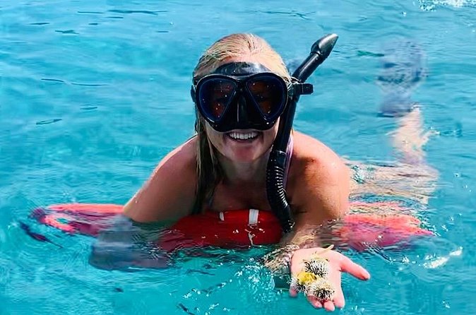 Half Day Luxury Catamaran Turtle Snorkel And Beach - Honeymoon Beach on Water Island