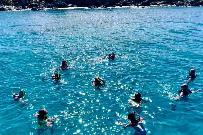 Half Day Luxury Catamaran Turtle Snorkel And Beach - Turtle Cove and Buck Island marine life