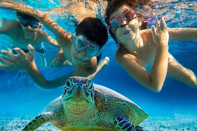 Half Day Snorkeling Tour from Margaritaville - Two or three snorkel stops, depending on the sea