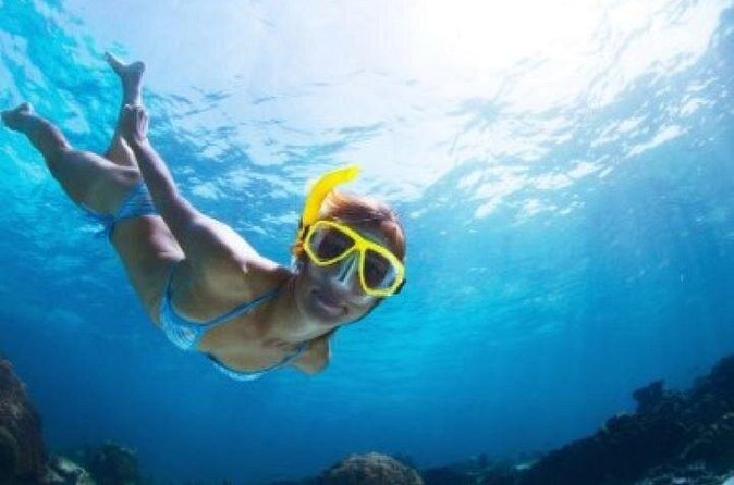 Half Day Snorkeling Tour from Margaritaville - How the $132 price compares in practical terms