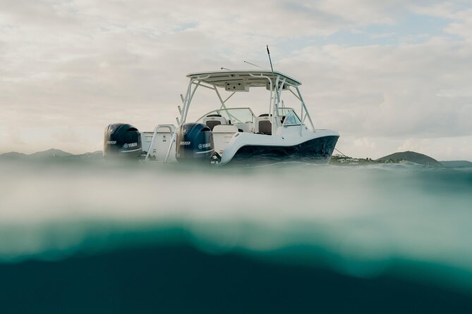 Half or Full-Day Private Boat Charter from St. John or St. Thomas - Maho Bay and the search for sea turtles