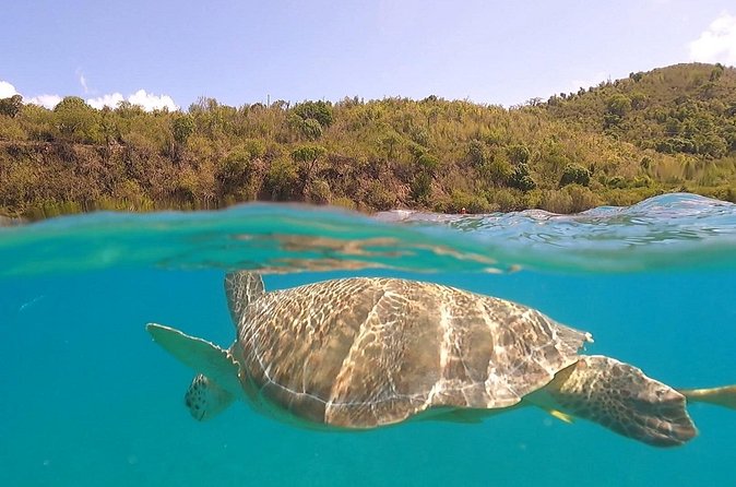 Half or Full-Day Private Boat Charter from St. John or St. Thomas - Scott Bay for quiet beach time