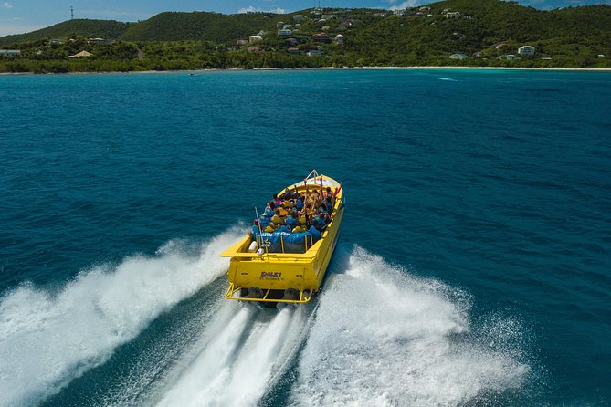 High Speed Harbor Tour from Charlotte Amalie Cruise Port - Getting wet is not a side effect