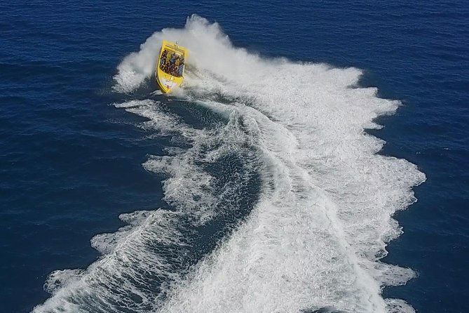 High Speed Harbor Tour from Charlotte Amalie Cruise Port - Then comes the Screamin’ Eagle rush