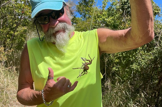 Honeymoon Beach Eco Hike and Snorkel - Is $99 a fair price?