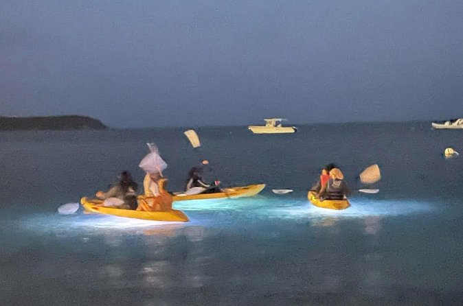 Illuminated Night Kayaking at the Elysian Resort - The Seating Question: Comfort Matters