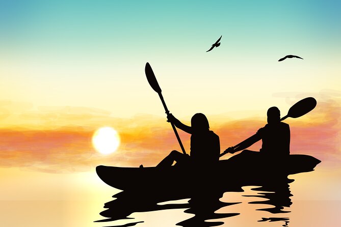 Illuminated Night Kayaking at the Elysian Resort - The Safety Briefing And Small-Group Launch