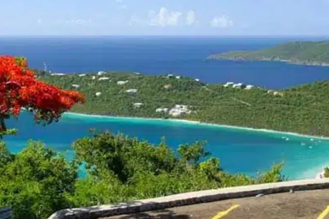 Island Buggy Excursions - Brewer’s Bay for water and sea turtles