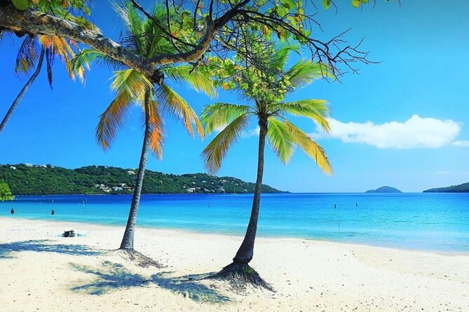Island Buggy Excursions - Magens Bay, the long final beach stop