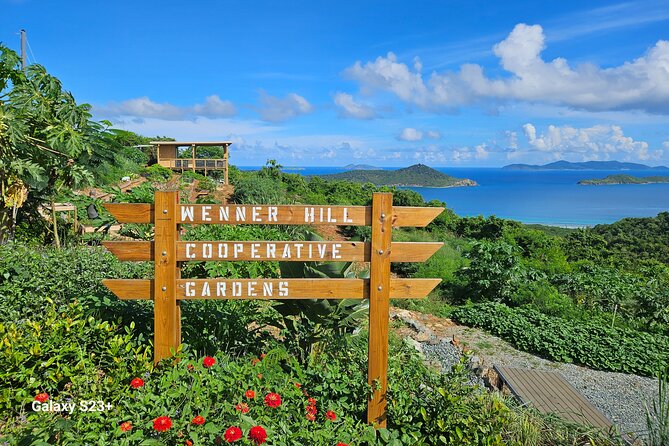 Island Eco Farm Tour with Local Treats and Sapphire Beach Time - Why this St. Thomas combination works