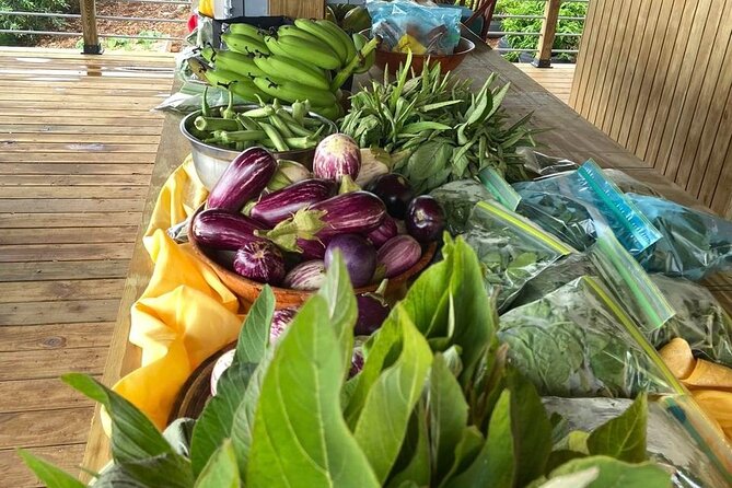 Island Eco Farm Tour with Local Treats and Sapphire Beach Time - Rain, fitness, and practical planning