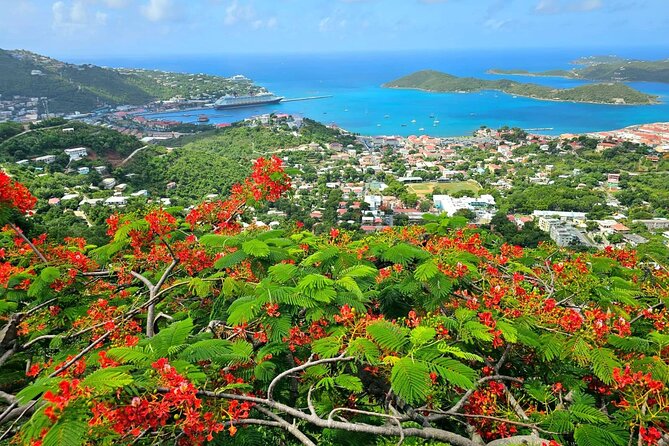 Island Life Jeep Tours - Your Day Your Way Private Excursion! - A private St. Thomas tour without a fixed script