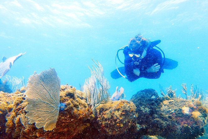 Island Wreck and Reef Scuba Excursion - Leaving Yacht Haven Grande for the water